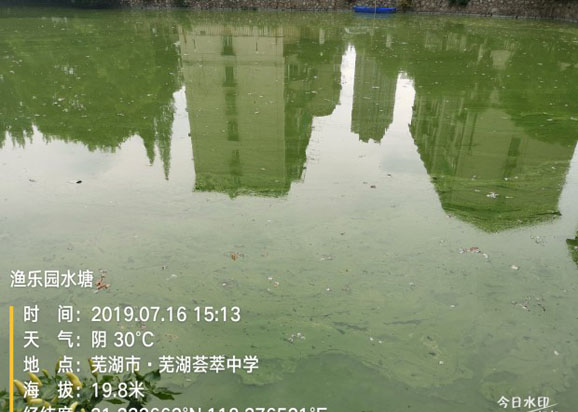 蕪湖薈萃中學(xué)校內(nèi)水塘藍(lán)藻治理